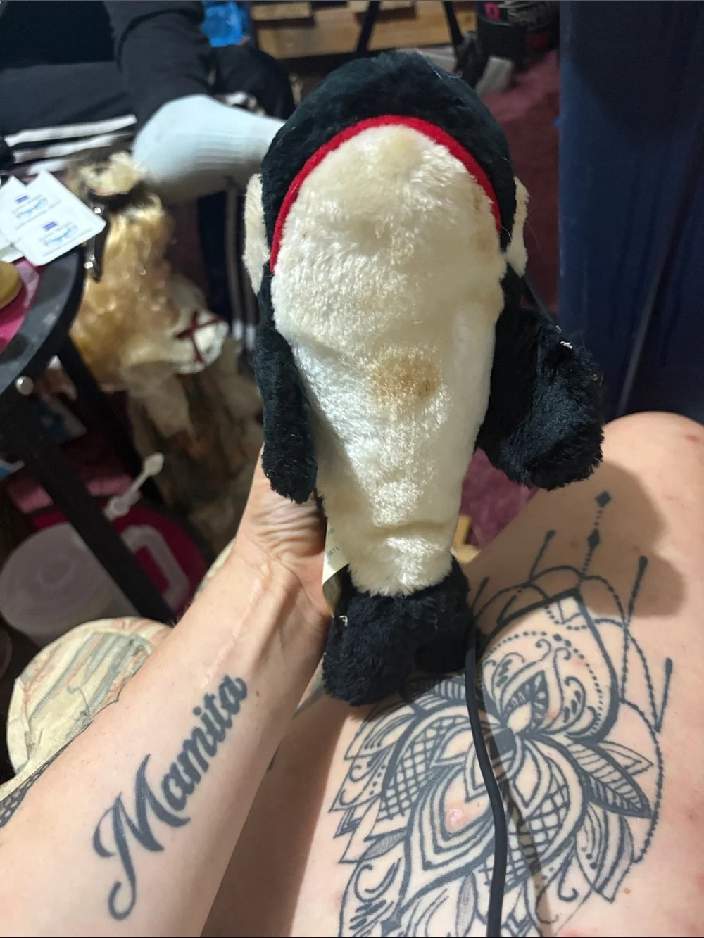 Plush Orca Dog Toy - Black & White Squeaker Plush for Dogs